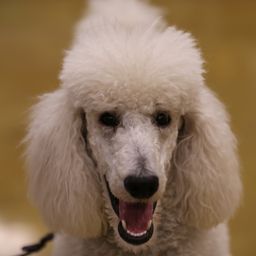 photograph by PeterW